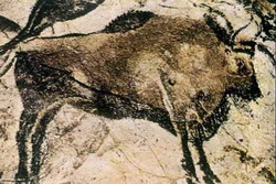 Наскальное изображение бизона (Альтамира, палеолит)